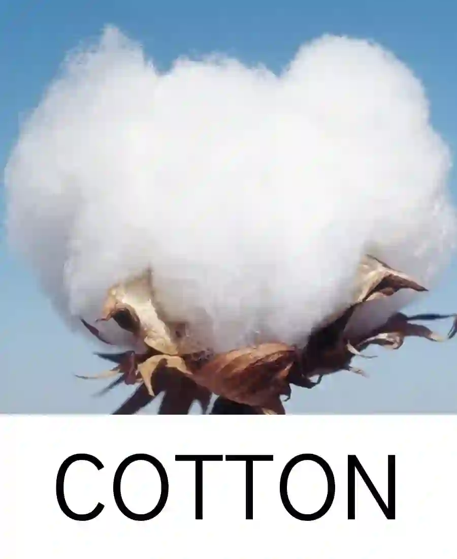 cotton