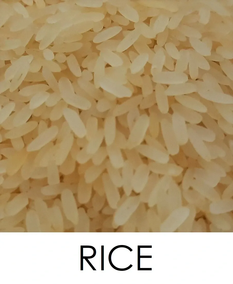 Rice